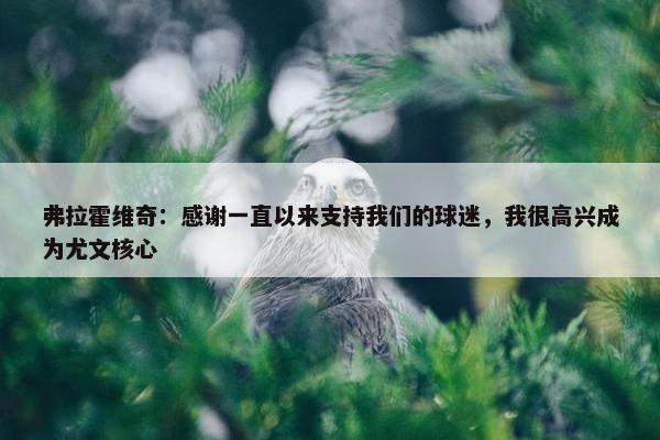 弗拉霍维奇：感谢一直以来支持我们的球迷，我很高兴成为尤文核心