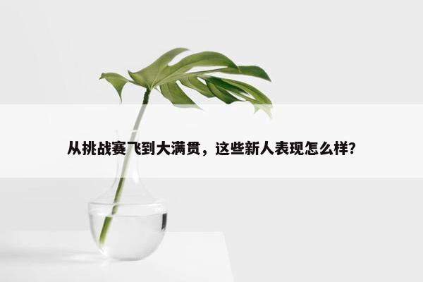 从挑战赛飞到大满贯，这些新人表现怎么样？