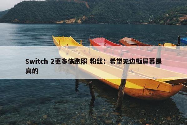 Switch 2更多偷跑照 粉丝：希望无边框屏幕是真的