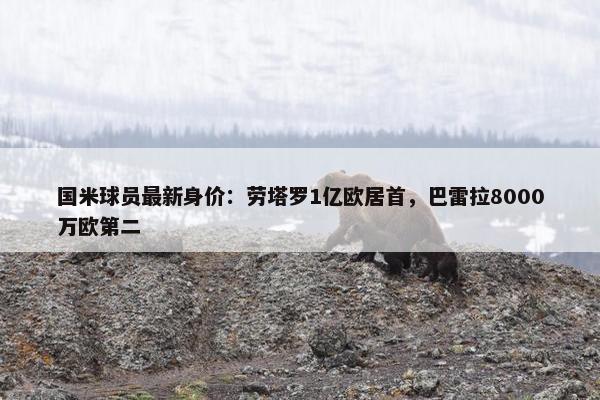 国米球员最新身价：劳塔罗1亿欧居首，巴雷拉8000万欧第二