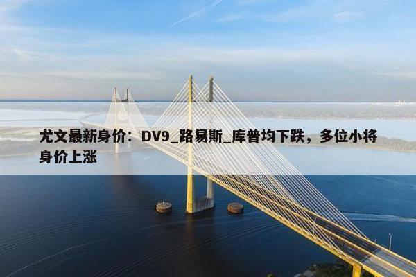 尤文最新身价：DV9_路易斯_库普均下跌，多位小将身价上涨