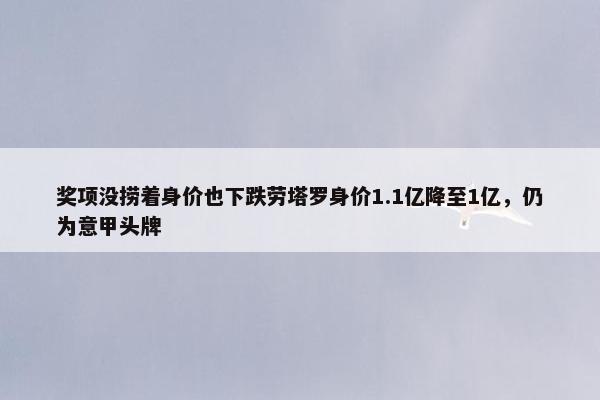 奖项没捞着身价也下跌劳塔罗身价1.1亿降至1亿，仍为意甲头牌