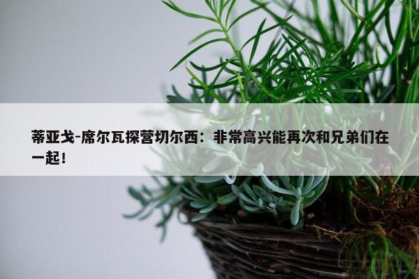 蒂亚戈-席尔瓦探营切尔西：非常高兴能再次和兄弟们在一起！