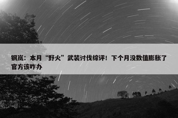 钢岚：本月“野火”武装讨伐综评！下个月没数值膨胀了官方该咋办