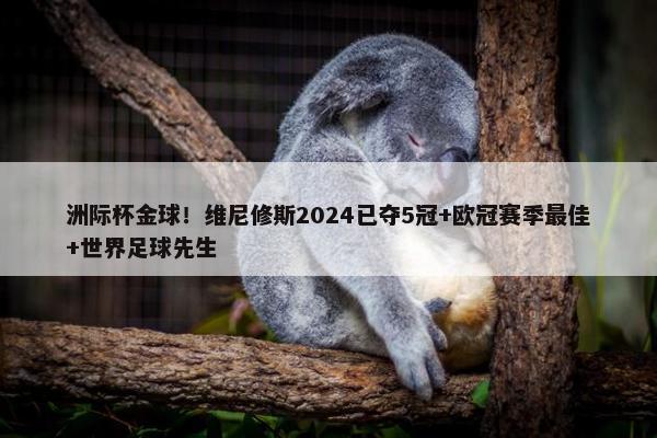 洲际杯金球！维尼修斯2024已夺5冠+欧冠赛季最佳+世界足球先生