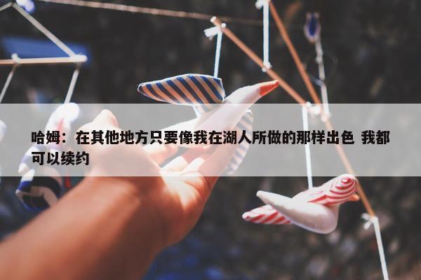 哈姆：在其他地方只要像我在湖人所做的那样出色 我都可以续约