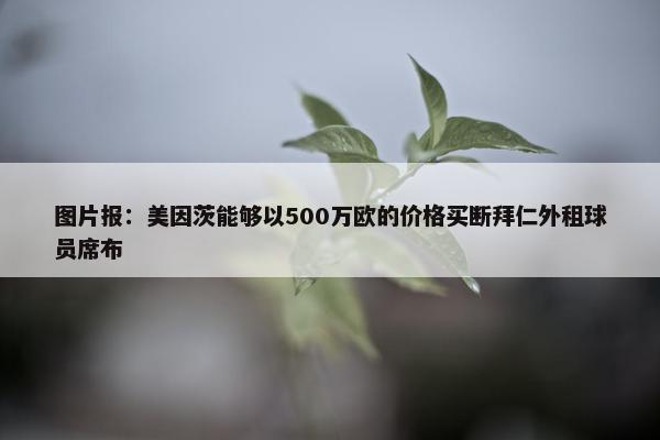 图片报：美因茨能够以500万欧的价格买断拜仁外租球员席布