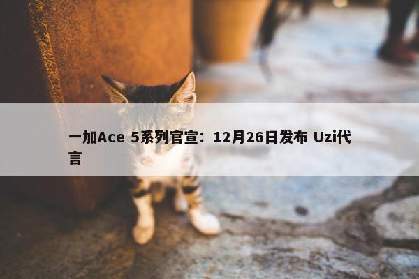 一加Ace 5系列官宣：12月26日发布 Uzi代言