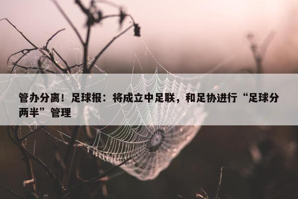 管办分离！足球报：将成立中足联，和足协进行“足球分两半”管理