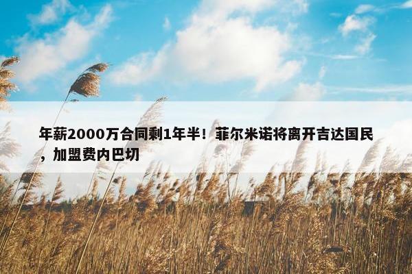 年薪2000万合同剩1年半！菲尔米诺将离开吉达国民，加盟费内巴切