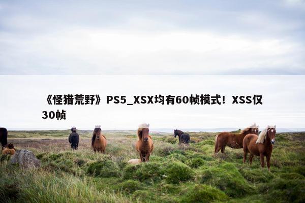 《怪猎荒野》PS5_XSX均有60帧模式！XSS仅30帧