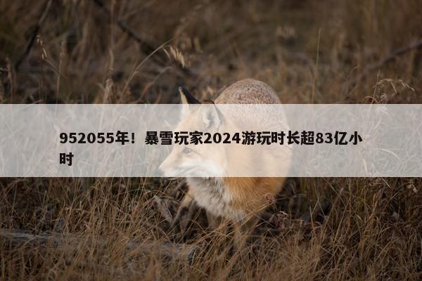 952055年！暴雪玩家2024游玩时长超83亿小时