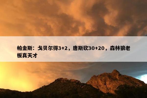 帕金斯：戈贝尔得3+2，唐斯砍30+20，森林狼老板真天才