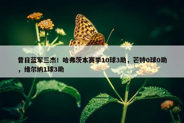 昔日蓝军三杰！哈弗茨本赛季10球3助，芒特0球0助，维尔纳1球3助