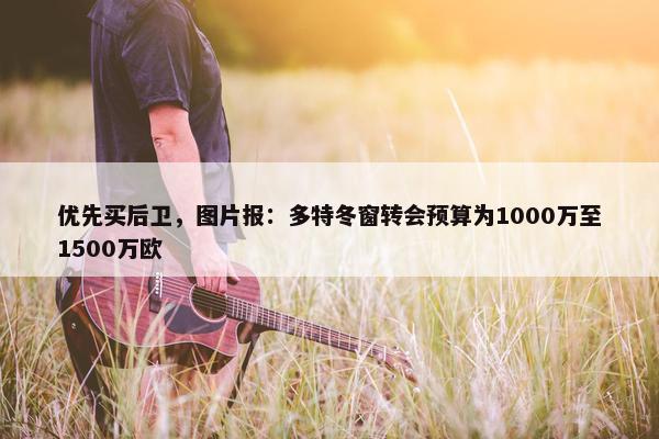 优先买后卫，图片报：多特冬窗转会预算为1000万至1500万欧