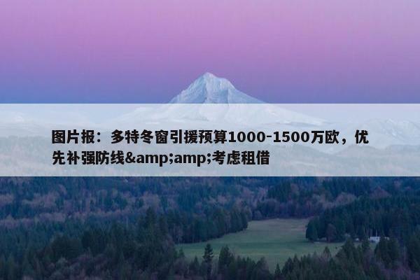 图片报：多特冬窗引援预算1000-1500万欧，优先补强防线&amp;考虑租借