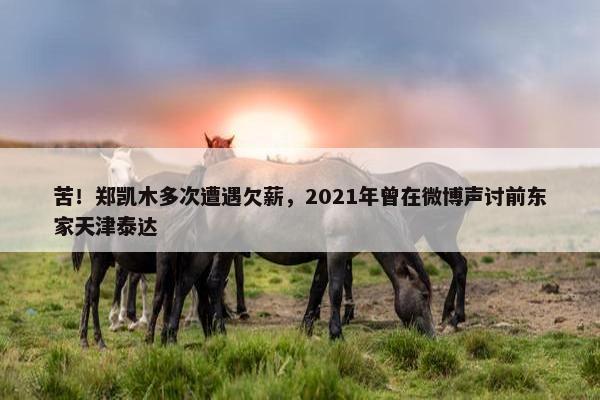 苦！郑凯木多次遭遇欠薪，2021年曾在微博声讨前东家天津泰达