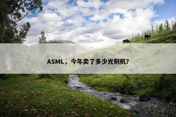 ASML，今年卖了多少光刻机？