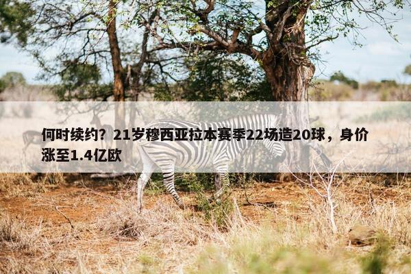 何时续约？21岁穆西亚拉本赛季22场造20球，身价涨至1.4亿欧