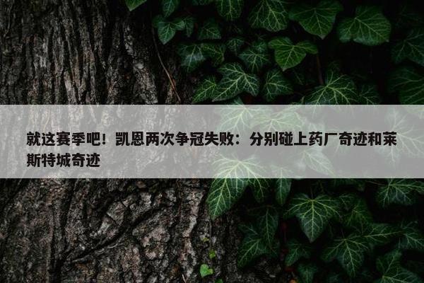 就这赛季吧！凯恩两次争冠失败：分别碰上药厂奇迹和莱斯特城奇迹