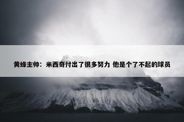 黄蜂主帅：米西奇付出了很多努力 他是个了不起的球员