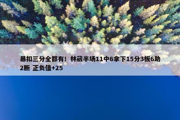 暴扣三分全都有！林葳半场11中6拿下15分3板6助2断 正负值+25