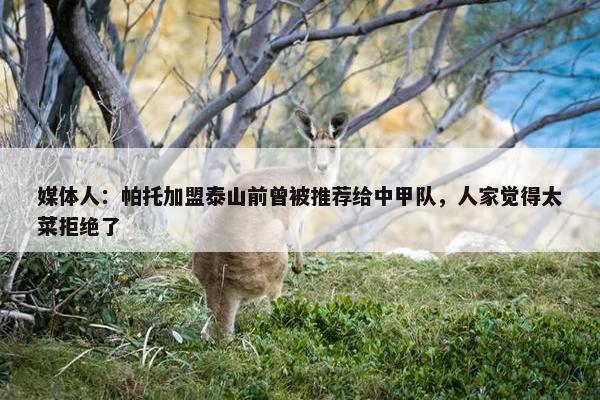 媒体人：帕托加盟泰山前曾被推荐给中甲队，人家觉得太菜拒绝了