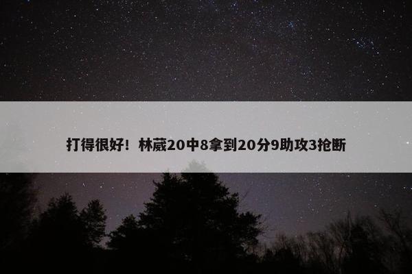 打得很好！林葳20中8拿到20分9助攻3抢断