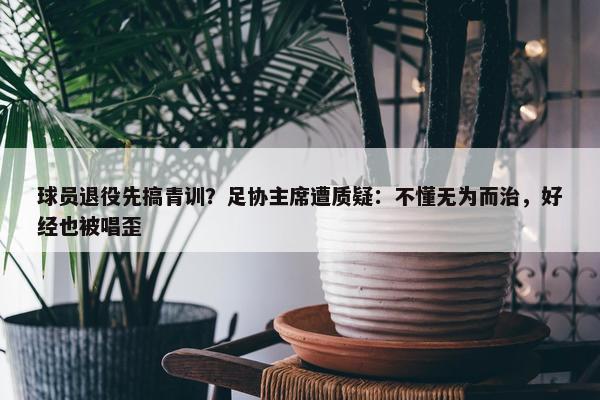 球员退役先搞青训？足协主席遭质疑：不懂无为而治，好经也被唱歪