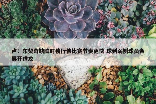 卢：东契奇缺阵时独行侠比赛节奏更快 球到弱侧球员会展开进攻