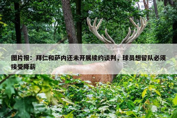 图片报：拜仁和萨内还未开展续约谈判，球员想留队必须接受降薪