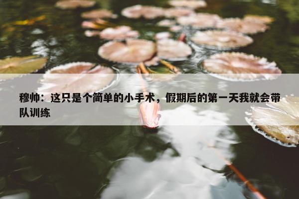 穆帅：这只是个简单的小手术，假期后的第一天我就会带队训练