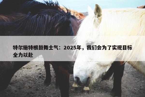 特尔施特根鼓舞士气：2025年，我们会为了实现目标全力以赴