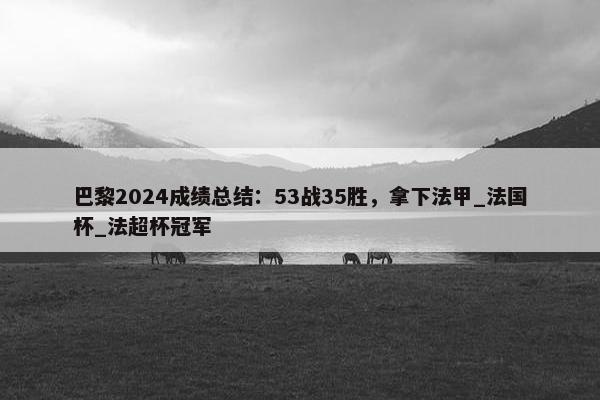 巴黎2024成绩总结：53战35胜，拿下法甲_法国杯_法超杯冠军