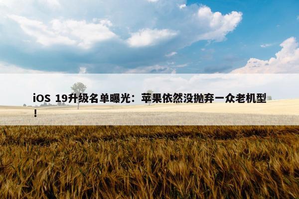 iOS 19升级名单曝光：苹果依然没抛弃一众老机型！