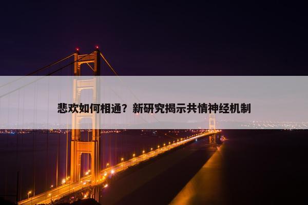 悲欢如何相通？新研究揭示共情神经机制