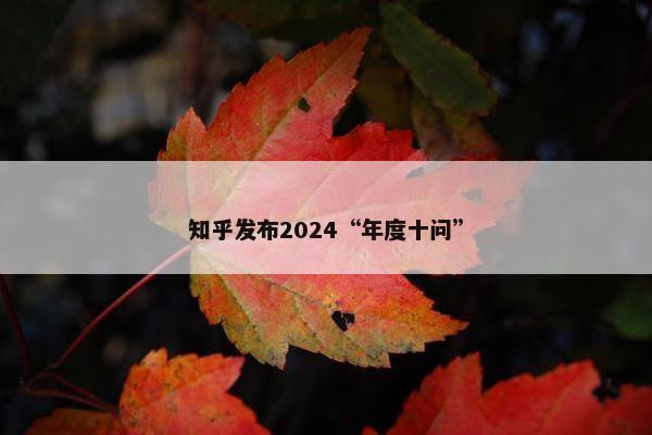 知乎发布2024“年度十问”