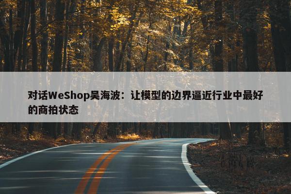 对话WeShop吴海波：让模型的边界逼近行业中最好的商拍状态