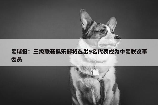 足球报：三级联赛俱乐部将选出9名代表成为中足联议事委员