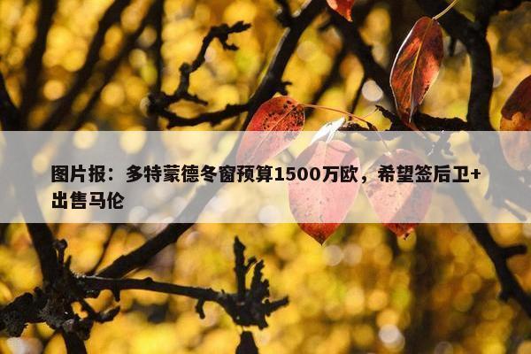 图片报：多特蒙德冬窗预算1500万欧，希望签后卫+出售马伦