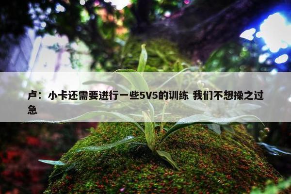 卢：小卡还需要进行一些5V5的训练 我们不想操之过急