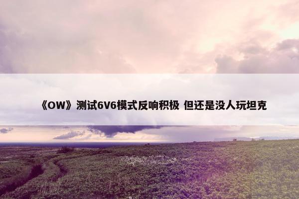 《OW》测试6V6模式反响积极 但还是没人玩坦克