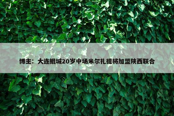 博主：大连鲲城20岁中场米尔扎提将加盟陕西联合