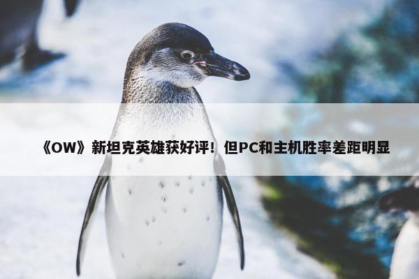 《OW》新坦克英雄获好评！但PC和主机胜率差距明显