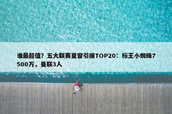 谁最超值？五大联赛夏窗引援TOP20：标王小蜘蛛7500万，曼联3人