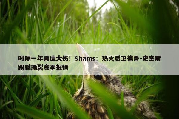 时隔一年再遭大伤！Shams：热火后卫德鲁-史密斯跟腱撕裂赛季报销