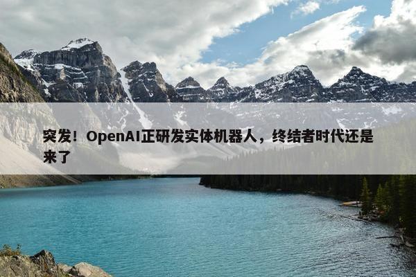 突发！OpenAI正研发实体机器人，终结者时代还是来了