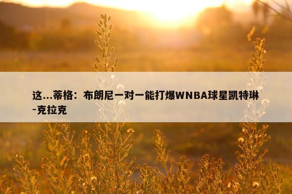 这...蒂格：布朗尼一对一能打爆WNBA球星凯特琳-克拉克