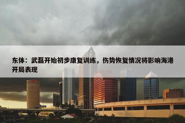 东体：武磊开始初步康复训练，伤势恢复情况将影响海港开局表现