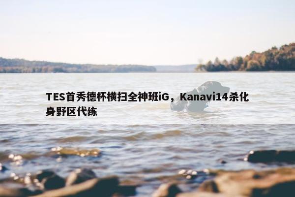 TES首秀德杯横扫全神班iG，Kanavi14杀化身野区代练